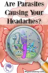 Can having parasites be one of your causes of migraine headache? Get the best natural treatments for intestinal parasites and don’t ignore these 10 signs.