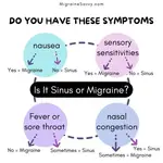 Is it sinus or migraine? Learn how to spot key differences, avoid treatment mistakes, and manage symptoms effectively for quick relief.