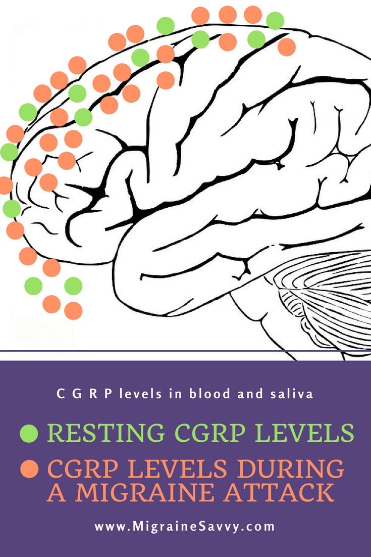 CGRP Drugs for Migraine