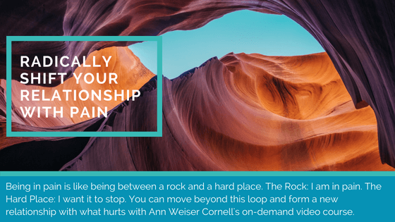 The Rock and the Hard Place: Exploring the Gifts of Pain @migrainesavvy