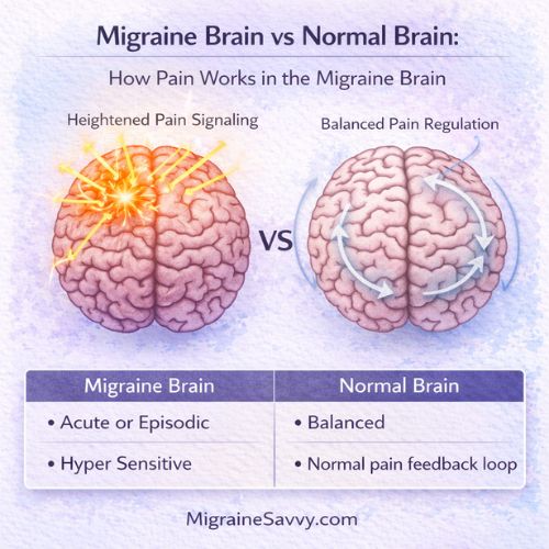 Illustration comparing a migraine brain with a normal brain, showing hypersensitivity and episodic pain signals versus a balanced normal pain feedback loop.