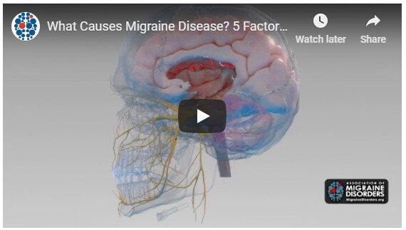 What Causes Migraine Disease? 5 Factors in Migraine Neurobiology. Migraine Disorders @migrainesavvy