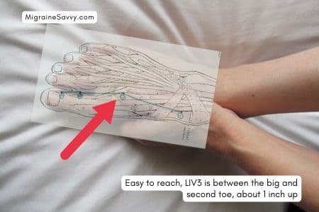 You can see the LIV3 pressure point location on this meridian overlay.